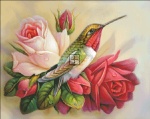 Hummingbirds In Roses