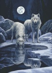 Hunters Moon LP