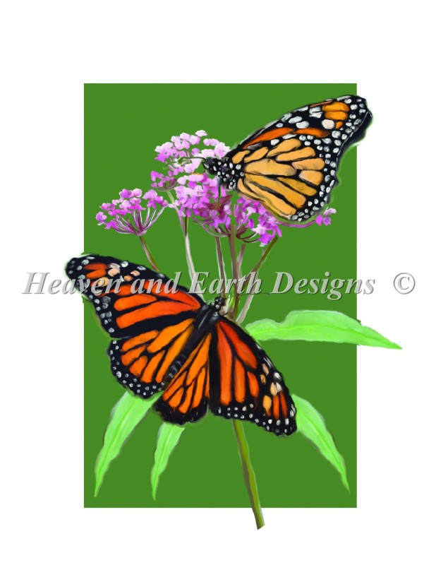 Monarchs - Click Image to Close