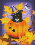 Mini Pumpkin Cat Magic