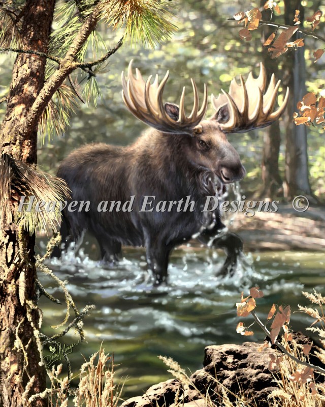 Mini Moose Crossing - Click Image to Close