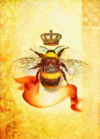 Limited Edition Artist of the Month - Queen Bee JDG Material Pack