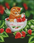 Strawberry Kitten