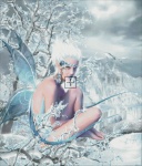 Winter Fairy MD