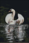 Swan SM