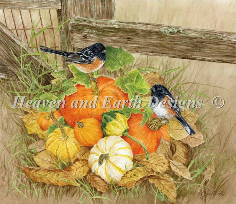 Pumpkins And Towhees - Click Image to Close