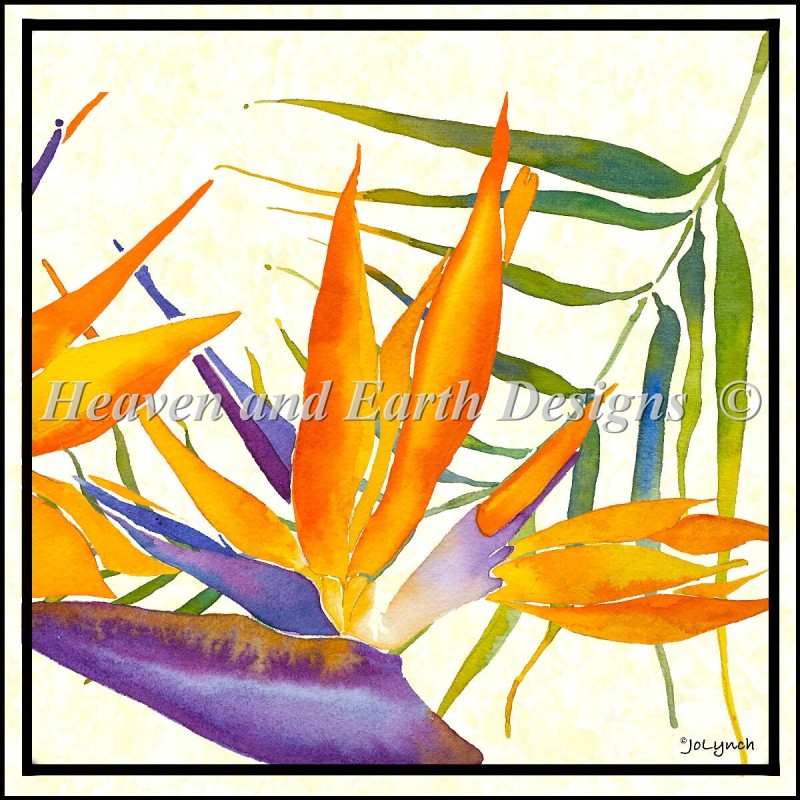 Floral Bird Of Paradise - Click Image to Close