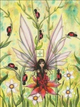 Ladybug Fairy