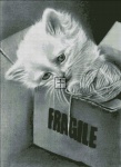 Fragile KK
