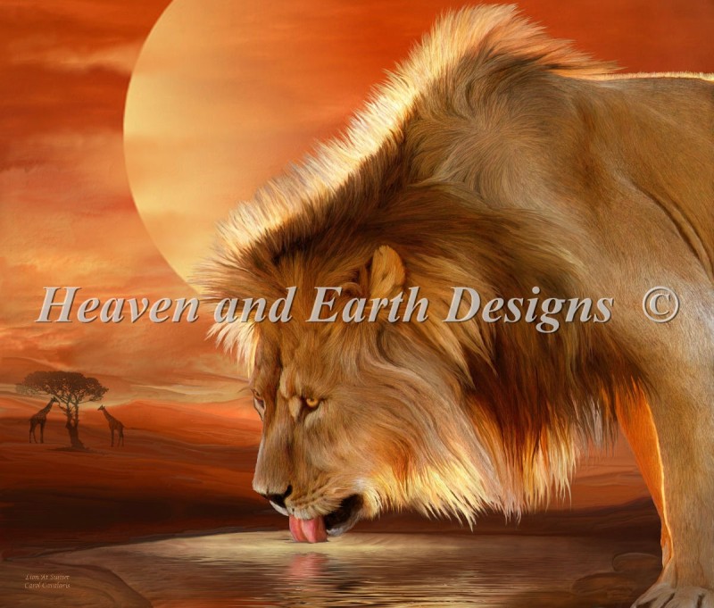 Lion At Sunset Material Pack - Click Image to Close