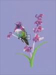 Costash Hummingbird Material Pack