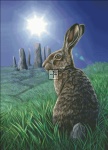Moon Hare LP