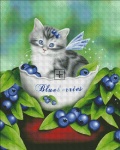 Mini Blueberry Kitten