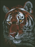 Night Tiger 2