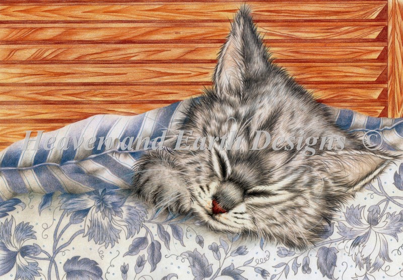 Sleeping Kitty - Click Image to Close