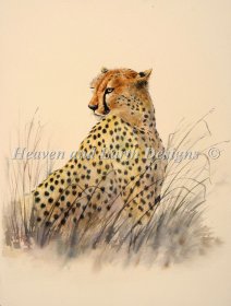 Cheetah Material Pack