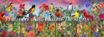 Birds And Blooms Garden Max Colors