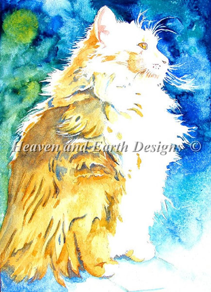 Maine Coon Pride - Click Image to Close