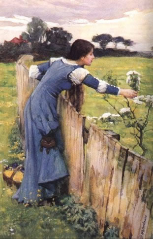 The Flower Picker - Click Image to Close