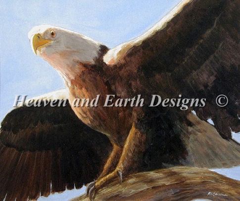 Eagle - Click Image to Close