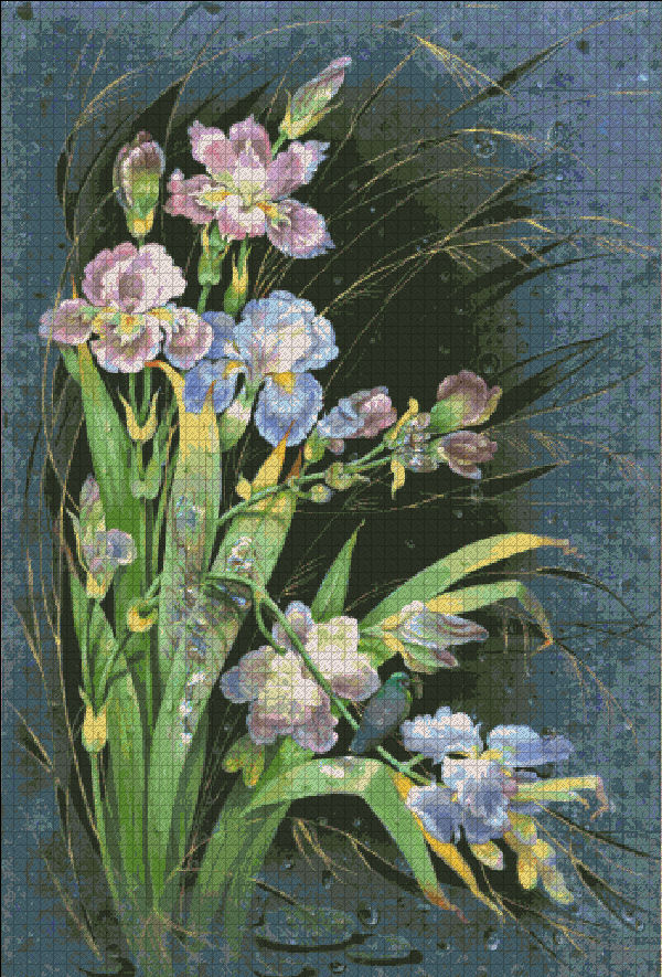 Irises - Click Image to Close