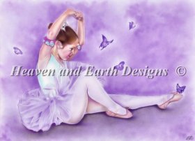 Mini Ballet De Papillon