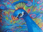 Peacock Plumage