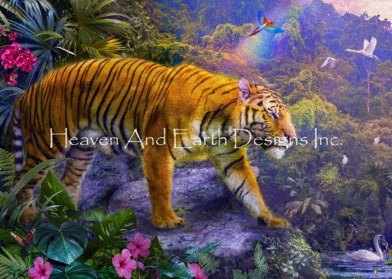 Rainbow Tiger Max Colors - Click Image to Close