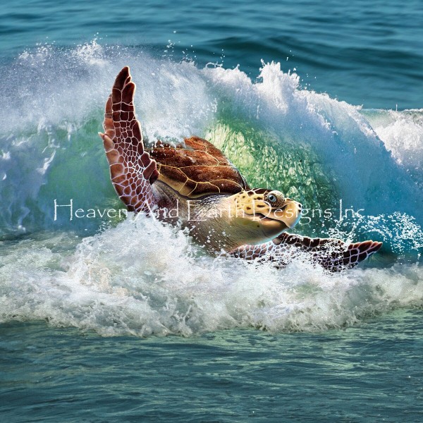 Sea Turtle JEL