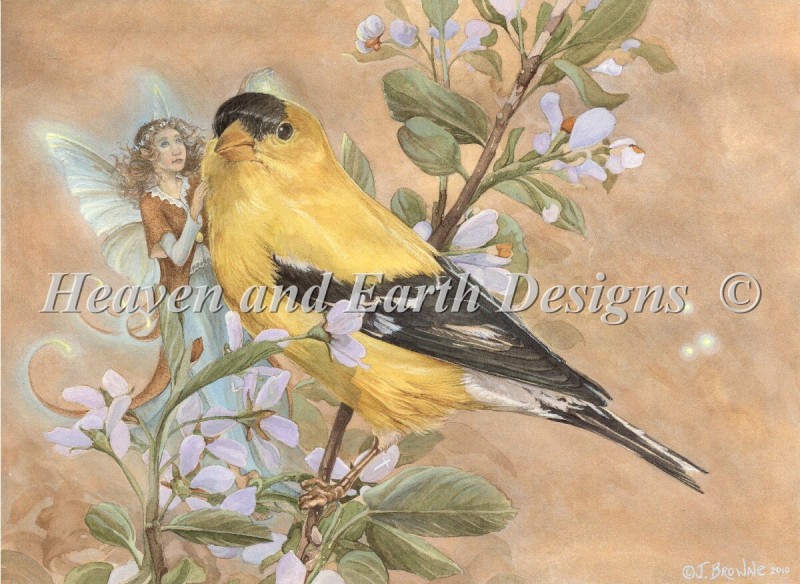 Gold Finch Material Pack - Click Image to Close