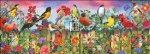 Birds And Blooms Garden Material Pack