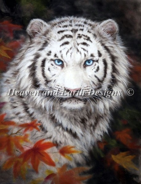 White Tiger Autumn