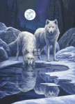 Diamond Painting Canvas - Mini Hunters Moon LP