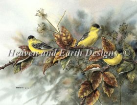 Gold Finches Material Pack