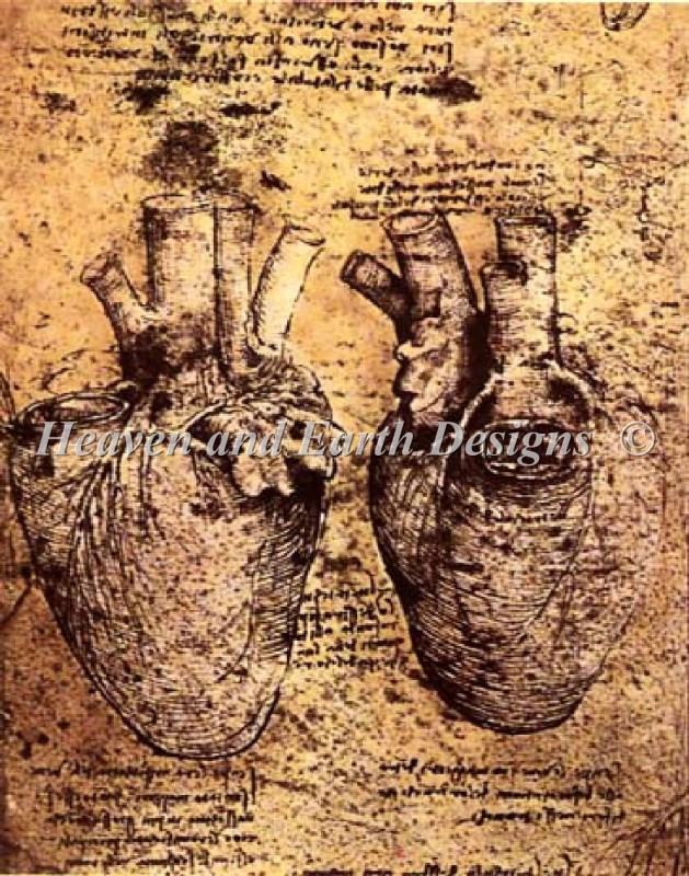 Heart And Vessels - Click Image to Close