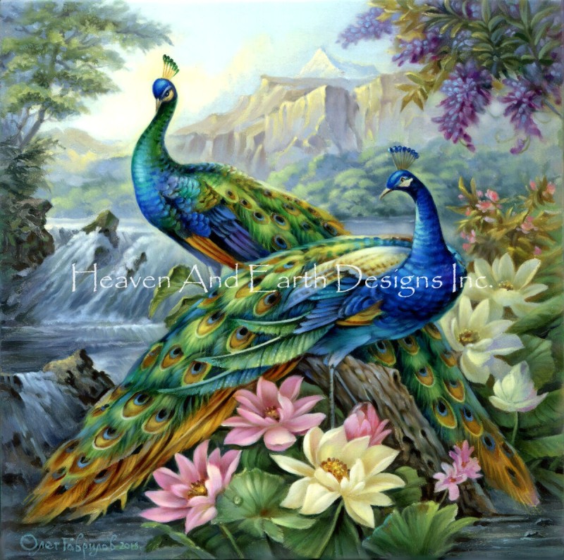 2 Dancing Peacocks - Click Image to Close