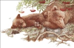 Bears Lullaby Sleeping