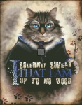 Solemnly Swear Wisdom Material Pack
