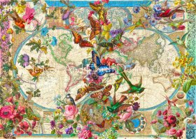 Supersized Birds Butterflies and Blooms World Map Max Colors