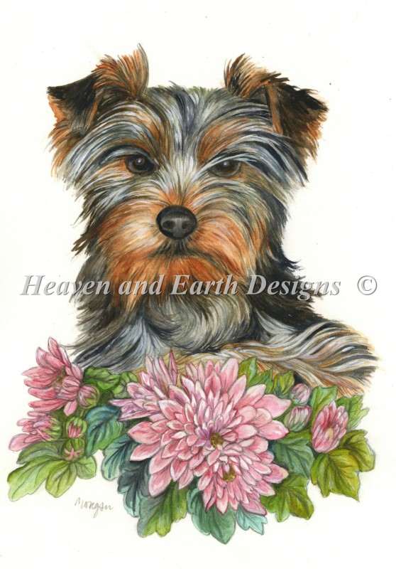 Yorkshire Terrier Material Pack - Click Image to Close