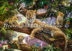 Clearance - Tree Top Leopard Family (Large Format)
