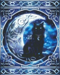 Midnight Moon Celtic Black Cat Material Pack