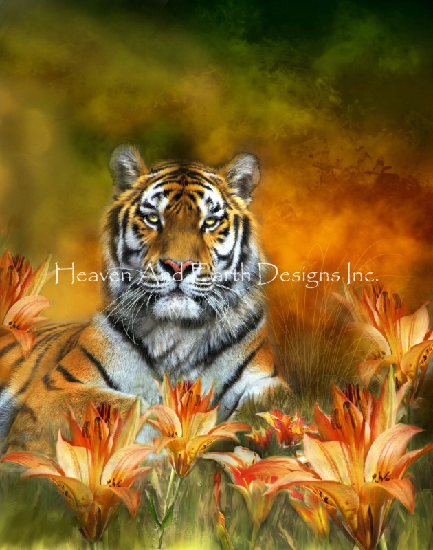 Mini Wild Tigers - Click Image to Close