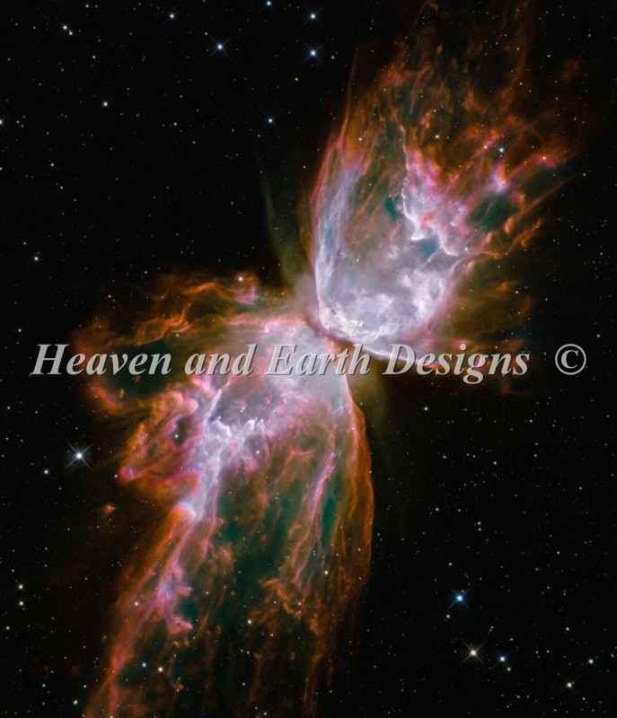 Celestial Wings - Click Image to Close