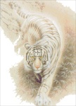 Oriental Tiger Tapestry