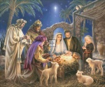 The Nativity DG Max Colors