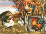 Rooster Farm