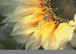 Diamond Painting Canvas - Sunflower Bee