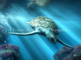 Turtle Material Pack