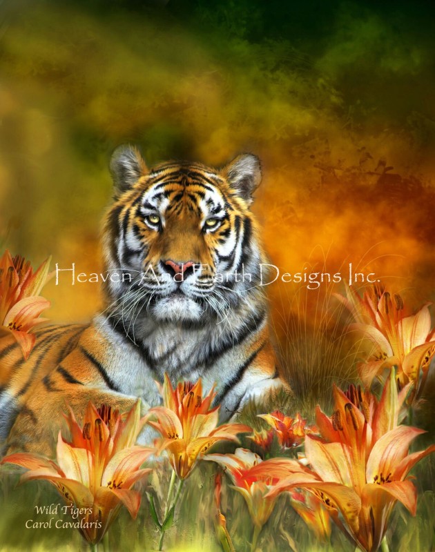 Wild Tigers - Click Image to Close